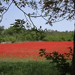 Dimora Visconti *