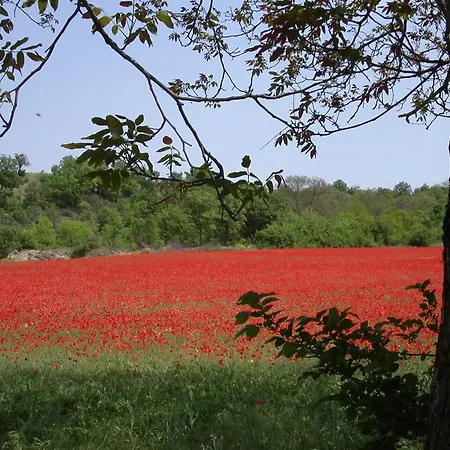 Dimora Visconti *