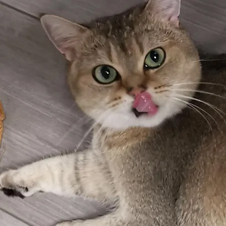 Dimora Visconti * San Demetrio ne' Vestini