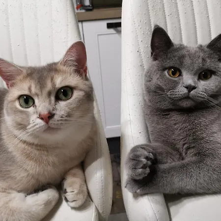 Dimora Visconti San Demetrio ne' Vestini