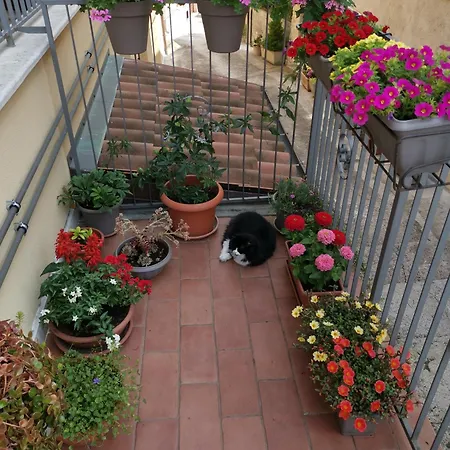 Dimora Visconti Apartment