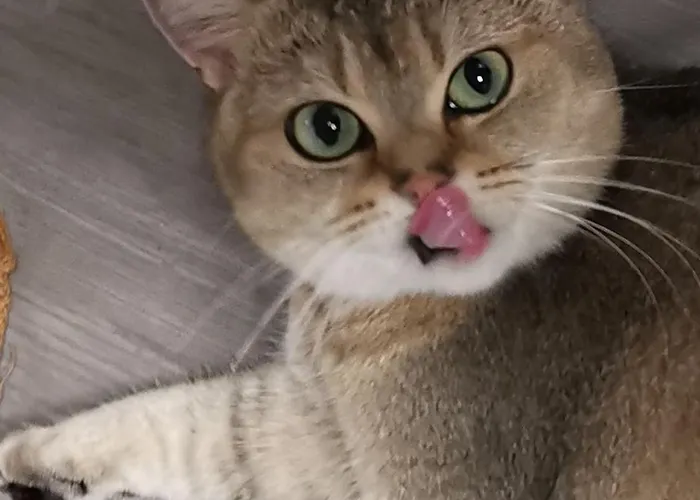 Dimora Visconti * San Demetrio ne' Vestini