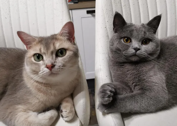 Dimora Visconti San Demetrio ne' Vestini