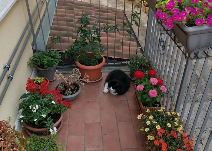 Dimora Visconti Apartment